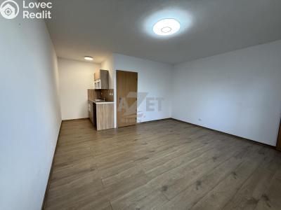 Pronájem bytu 1+KK Bohumín, P. Cingra 100 č. 4