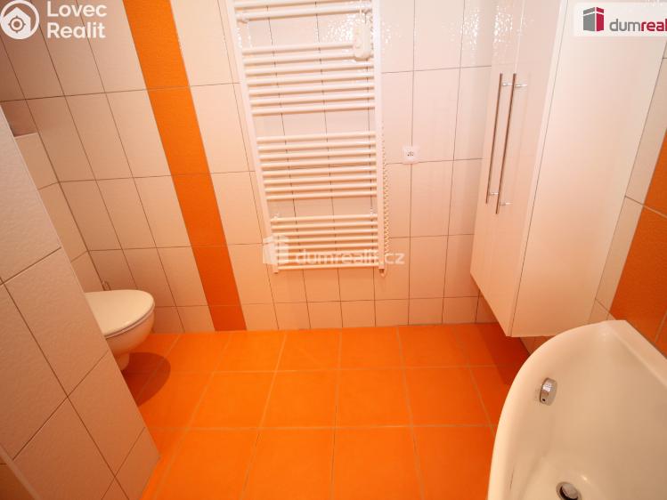 Pronájem bytu 2+1 Lázně Kynžvart, Dlouhá č. 13