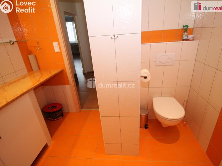 Pronájem bytu 2+1 Lázně Kynžvart, Dlouhá č. 14