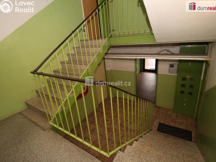 Pronájem bytu 2+1 Lázně Kynžvart, Dlouhá č. 15
