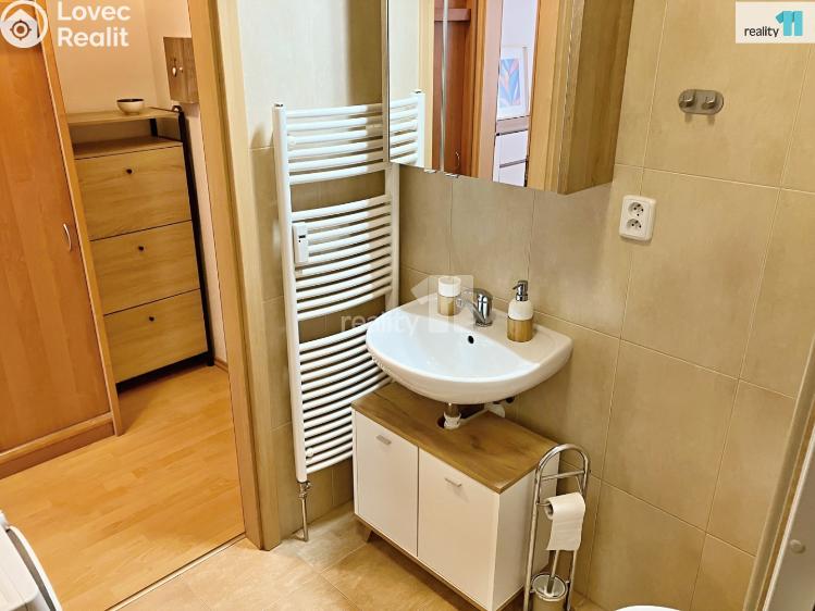 Pronájem bytu 1+KK Plzeň, Květná č. 10