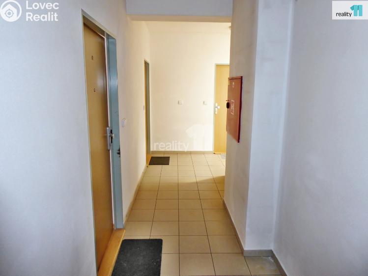 Pronájem bytu 1+KK Plzeň, Květná č. 14