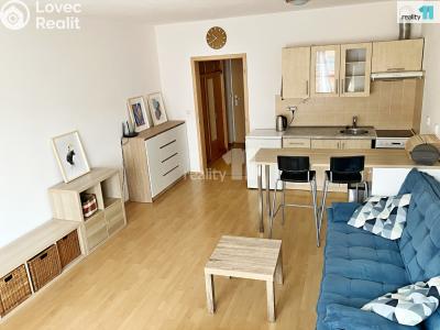 Аренда квартиры 1+KK Plzeň, Květná č. 5