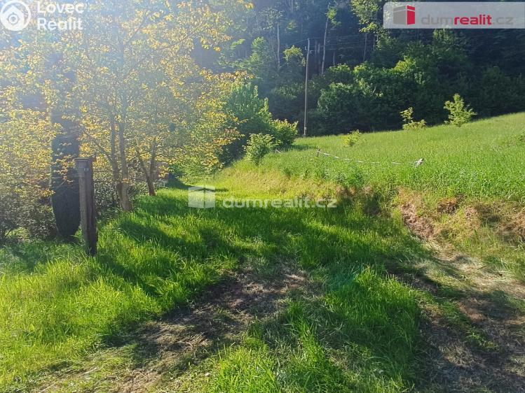 Prodej chaty Těchlovice č. 30