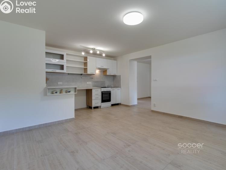 Pronájem rodinného domu Zlatníky-Hodkovice, Náves sv. Petra a Pavla č. 12