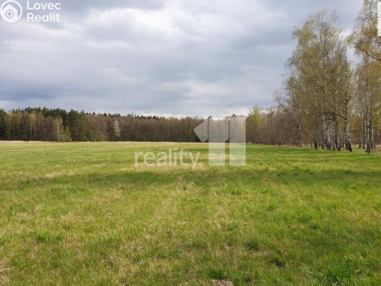 Prodej pole Hradec Králové, K Břízkám č. 4