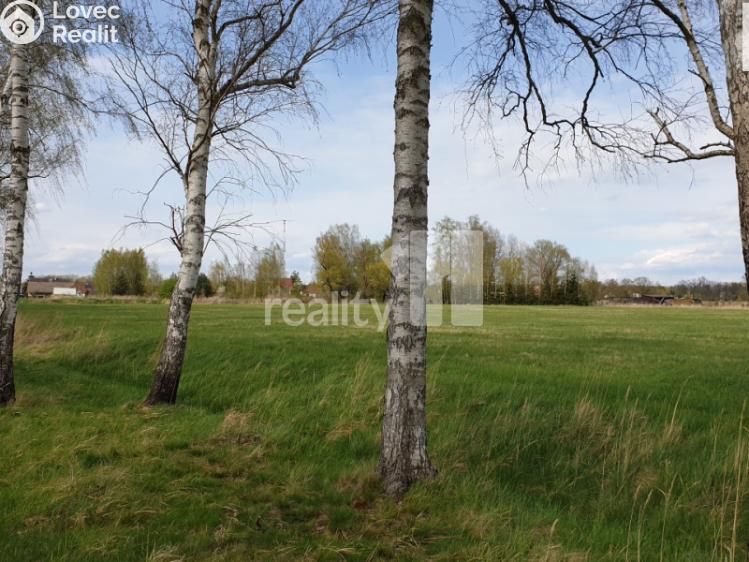 Prodej pole Hradec Králové, K Břízkám č. 7