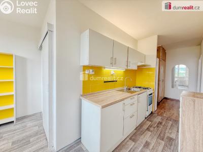 Pronájem bytu 2+1 Ústí nad Labem, Větrná č. 6