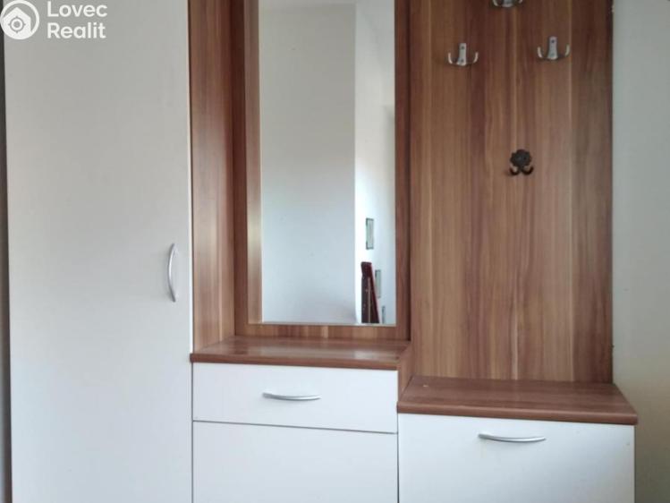 Pronájem bytu 3+KK Prostějov č. 10