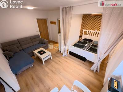 Rent apartment 1+1 Kutná Hora, U Koruny č. 1