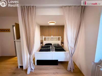 Rent apartment 1+1 Kutná Hora, U Koruny č. 2