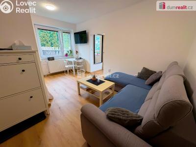 Rent apartment 1+1 Kutná Hora, U Koruny č. 3