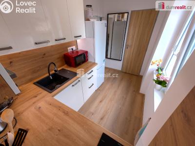 Rent apartment 1+1 Kutná Hora, U Koruny č. 4
