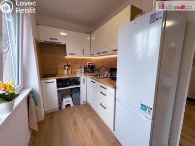 Rent apartment 1+1 Kutná Hora, U Koruny č. 5