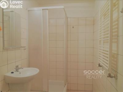 Pronájem bytu 1+KK Praha, Karla Zicha č. 5