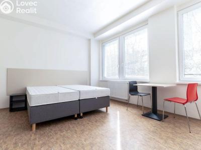 Pronájem bytu 1+KK Praha, Křížová č. 4