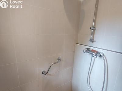 Pronájem bytu 3+1 Stříbro, Kladrubská č. 6
