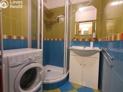 Аренда квартиры 1+1 Plzeň, Waltrova č. 5