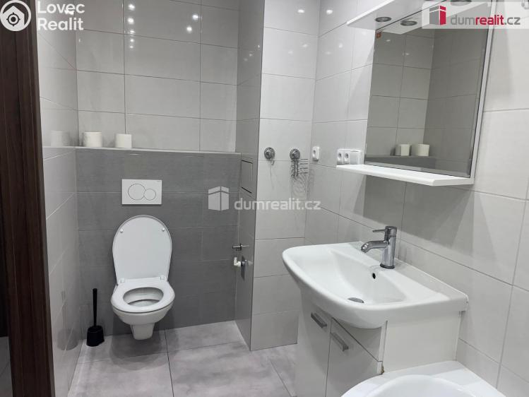 Pronájem bytu 2+1 Ústí nad Labem, Návětrná č. 10