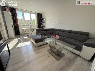 Sale apartment 3+1 Frýdek-Místek, Novodvorská č. 1