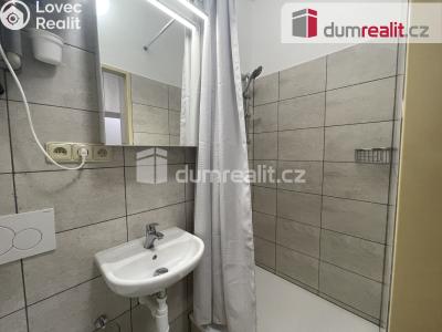 Pronájem bytu 1+1 Mikulov, Zámecká č. 6