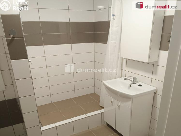 Pronájem bytu 1+1 Děčín, Lipová č. 4