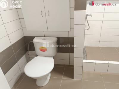 Rent apartment 1+1 Děčín, Lipová č. 3