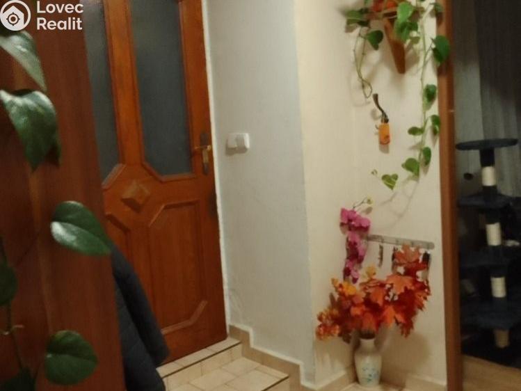Prodej rodinného domu Důl, Důl č. 15