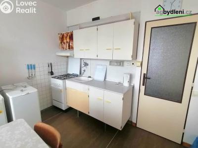 Rent apartment 1+1 Plzeň, Karla Steinera č. 2