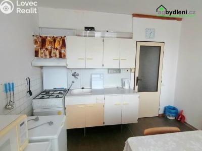 Rent apartment 1+1 Plzeň, Karla Steinera č. 3