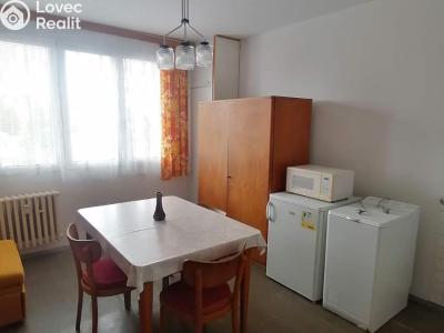 Rent apartment 1+1 Plzeň, Karla Steinera č. 5