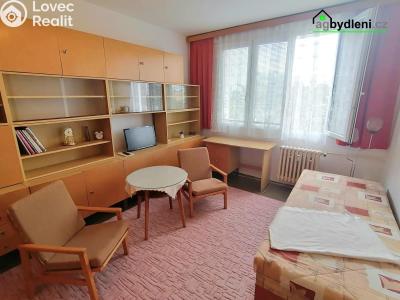 Rent apartment 1+1 Plzeň, Karla Steinera č. 6