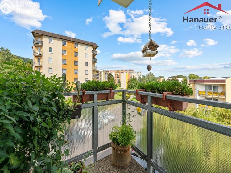 Sale apartment 3+KK Chlumec, Stradovská č. 2