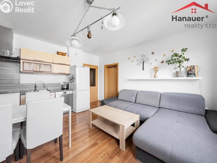 Sale apartment 3+KK Chlumec, Stradovská č. 5