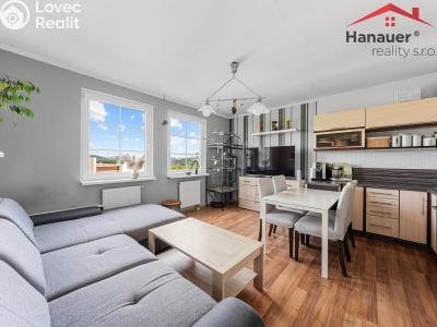 Продажа квартиры 3+KK Chlumec, Stradovská č. 1