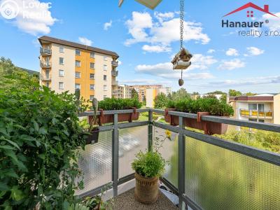 Продажа квартиры 3+KK Chlumec, Stradovská č. 2