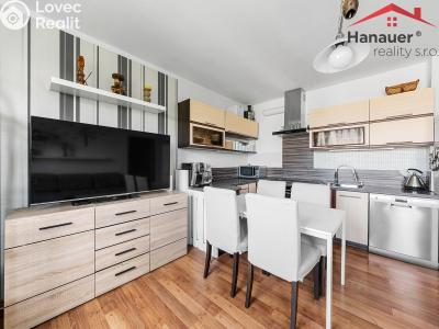 Продажа квартиры 3+KK Chlumec, Stradovská č. 4