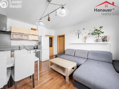 Продажа квартиры 3+KK Chlumec, Stradovská č. 5