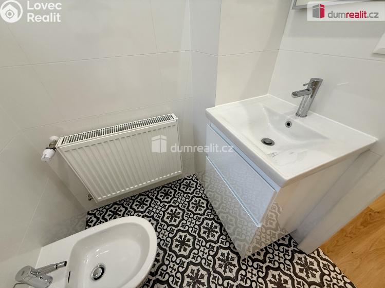 Pronájem bytu 3+1 Mariánské Lázně, Dřevěná č. 25