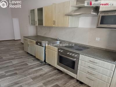 Pronájem bytu 3+1 Děčín, Prokopa Holého č. 1