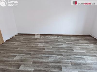 Pronájem bytu 3+1 Děčín, Prokopa Holého č. 6