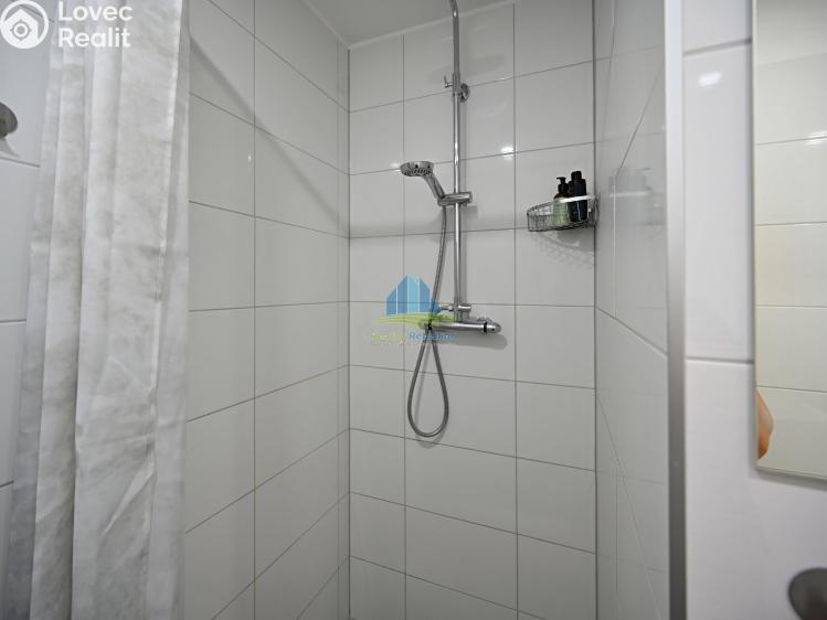 Pronájem bytu 1+1 Františkovy Lázně, Žižkova 336/10 č. 4