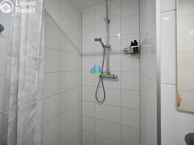 Pronájem bytu 1+1 Františkovy Lázně, Žižkova č. 4