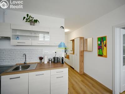 Pronájem bytu 1+1 Františkovy Lázně, Žižkova č. 5