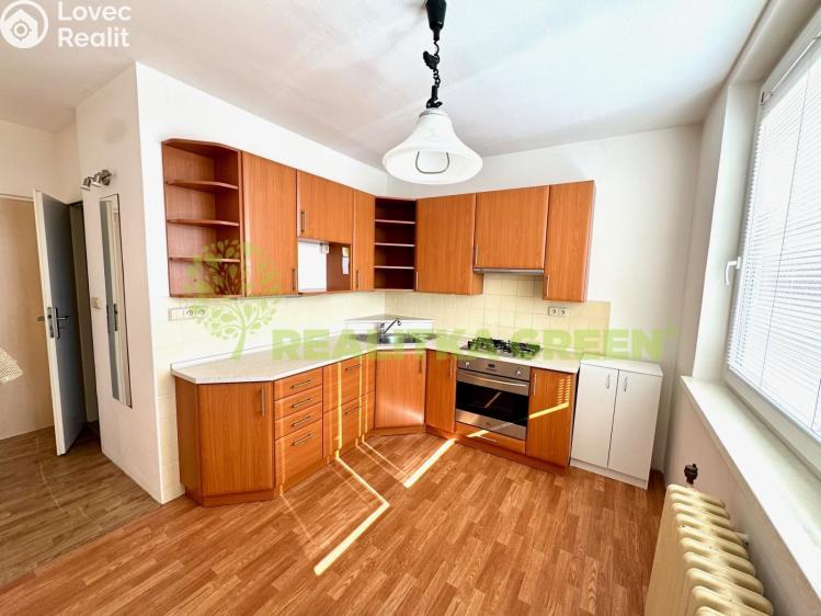 Rent apartment 1+1 Otrokovice, Luční 1168 č. 2