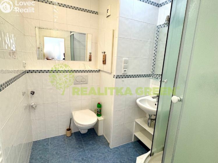 Rent apartment 1+1 Otrokovice, Luční 1168 č. 7
