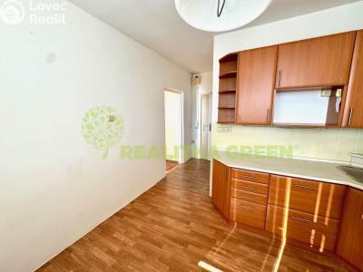Pronájem bytu 1+1 Otrokovice, Luční 1168 č. 3