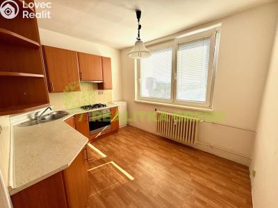 Pronájem bytu 1+1 Otrokovice, Luční 1168 č. 4