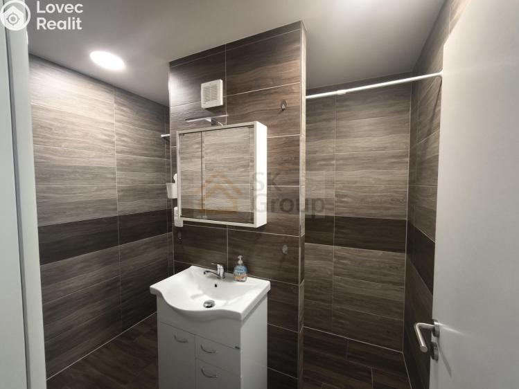 Rent apartment 1+1 Nová Role, Pod Nádražím č. 6