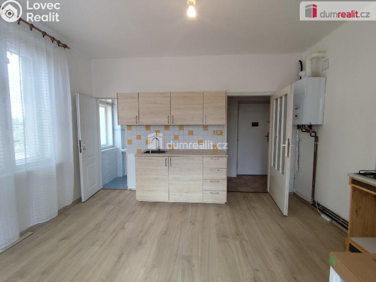 Rent apartment 1+1 Poděbrady, Říční č. 1